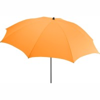 8205_apricot_1111120583